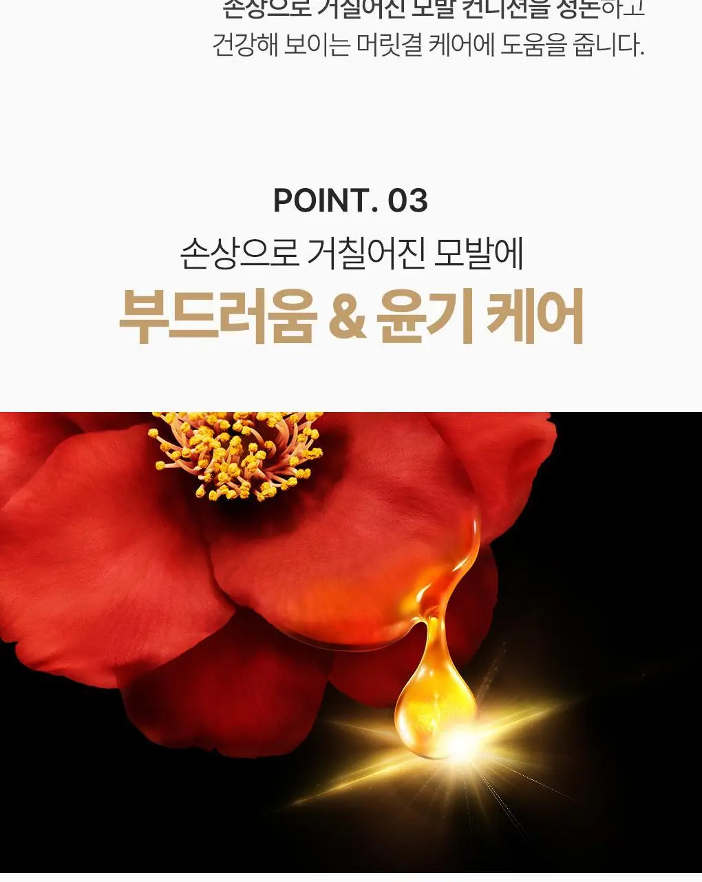 [뿌리볼륨 풀케어] 츠바키 프리미엄 볼륨 & 리페어 샴푸 컨디셔너 2종 기획 상세페이지 36